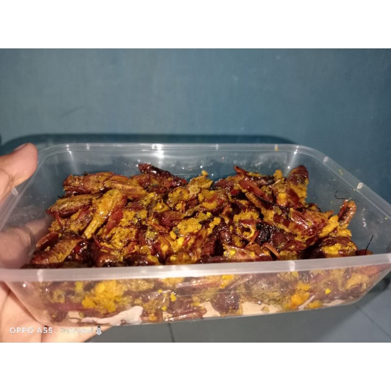 

belalang goreng pedas kriuk