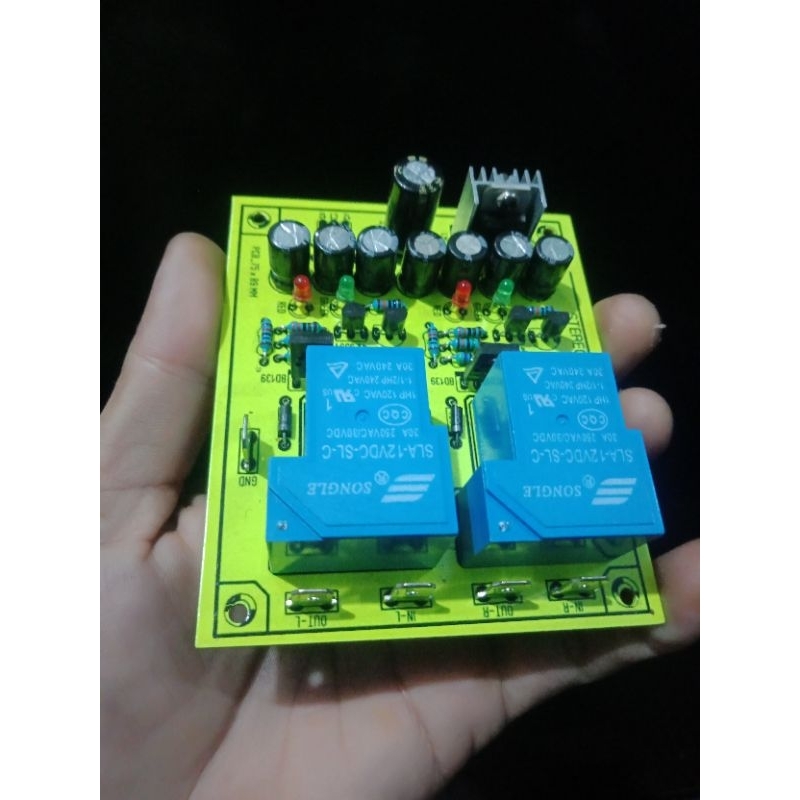 SPEAKER PROTECTOR STEREO