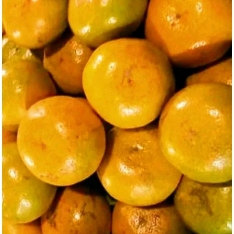 

jeruk medan ukuran besar 1 kg