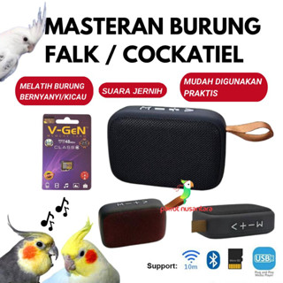 Masteran burung falk parkit australia cockatiel