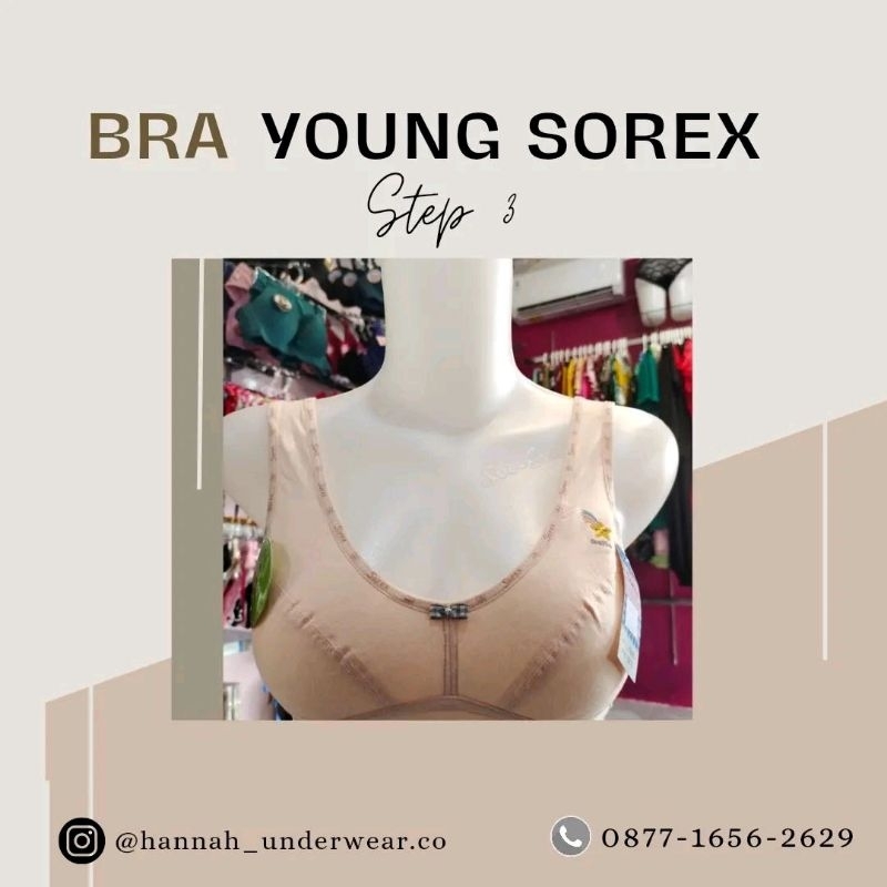 BRA Young Sorex step 3