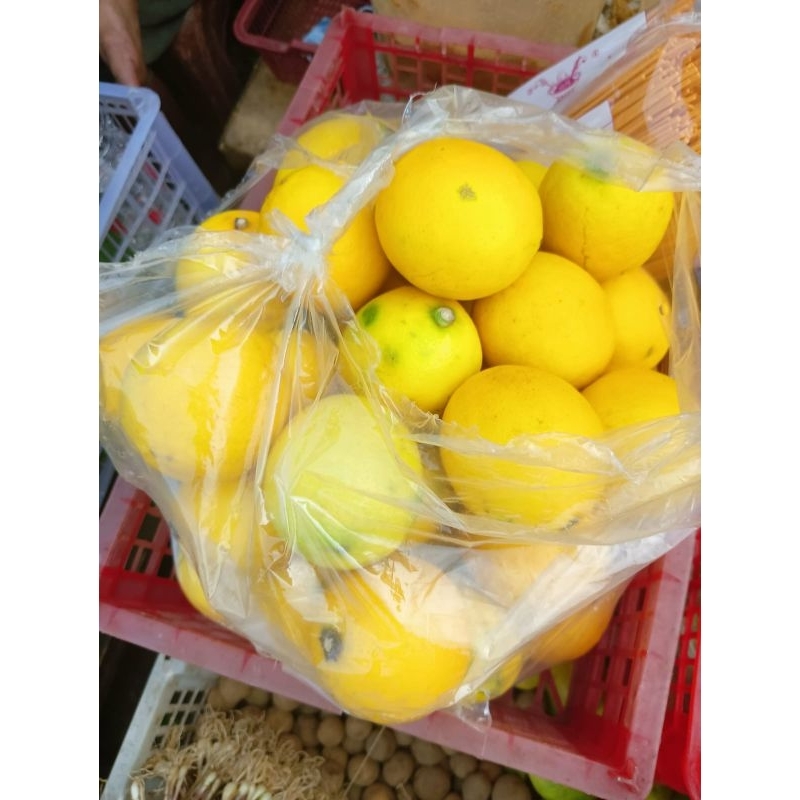 

Jeruk Lemon Fresh