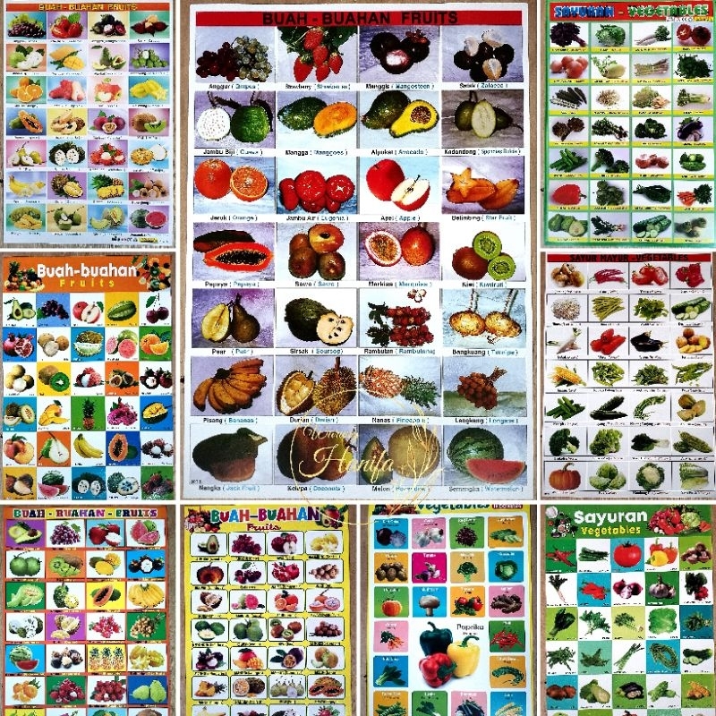 Poster Edukasi Anak Gambaran Buahan Sayuran Dan Hewanan