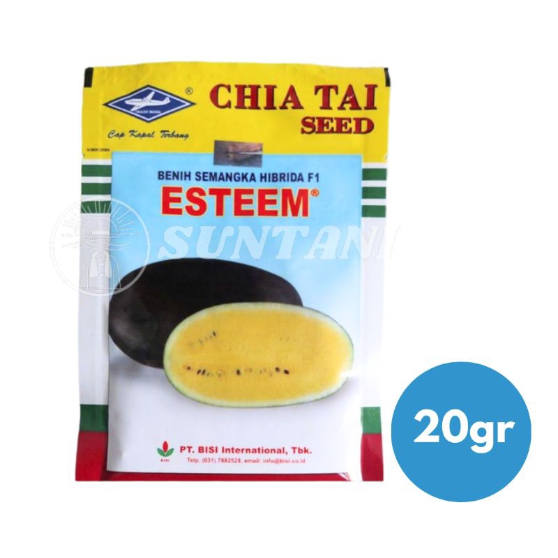 Bibit Semangka Hibrida F1 Esteem Cap Kapal Terbang 20gr