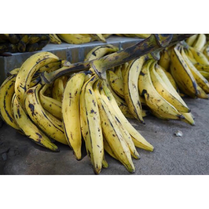 

PISANG TANDUK 1 kg fresh