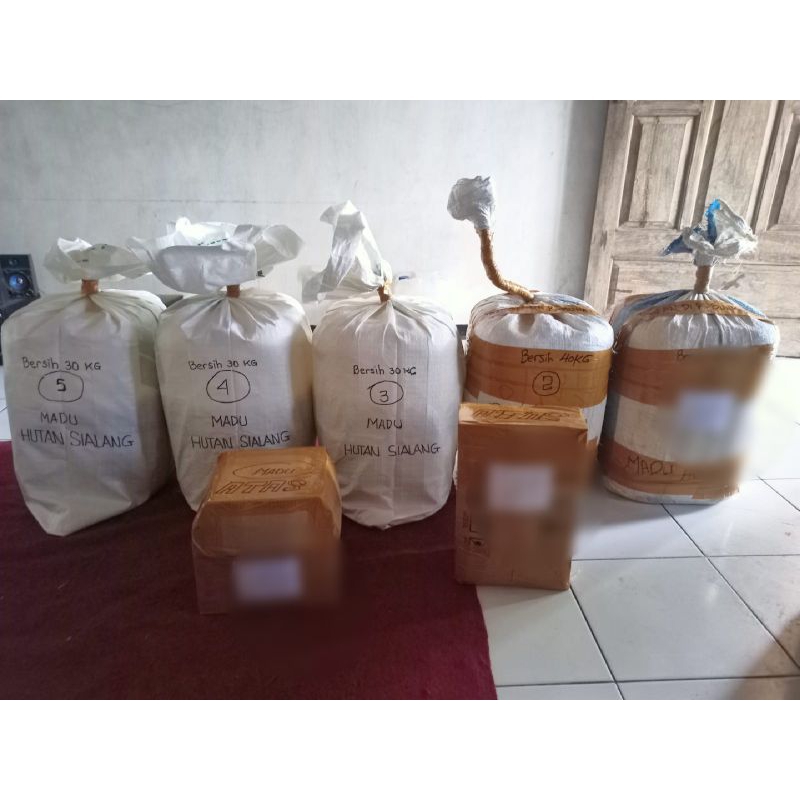 

madu kelanceng bambu. madu liar