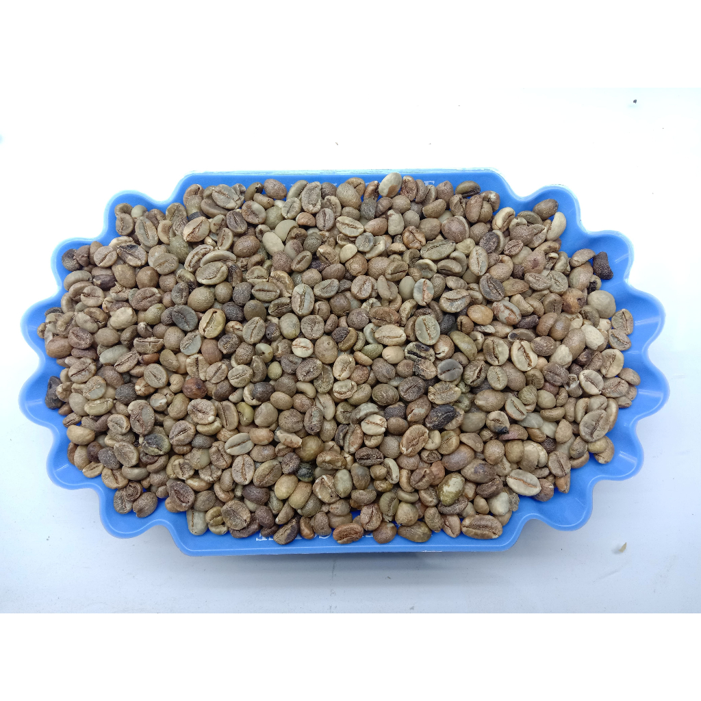 GRADE 4.B ROBUSTA GREEN BEAN / BIJI KOPI MENTAH ROBUSTA LAMPUNG - 1 KG