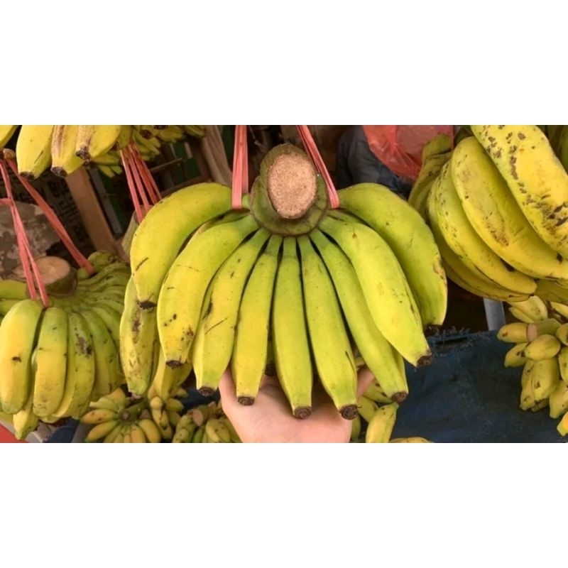 

Pisang Ambon 1 Sisir Utuh Segar