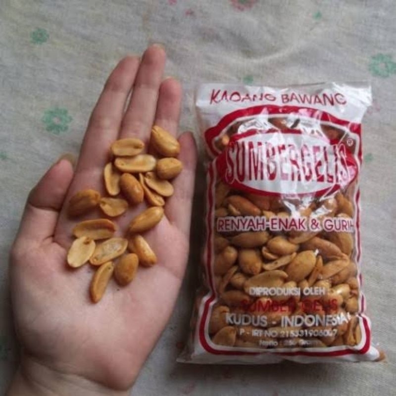 

Kacang bawang jumbo Sumber Gelis