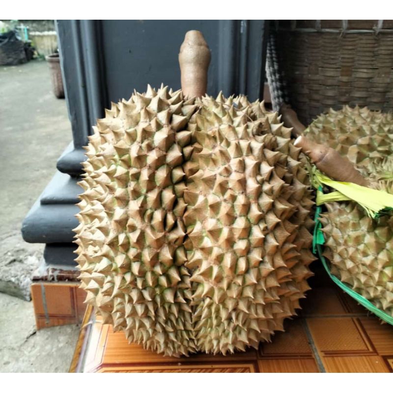 

Durian Monthong Super