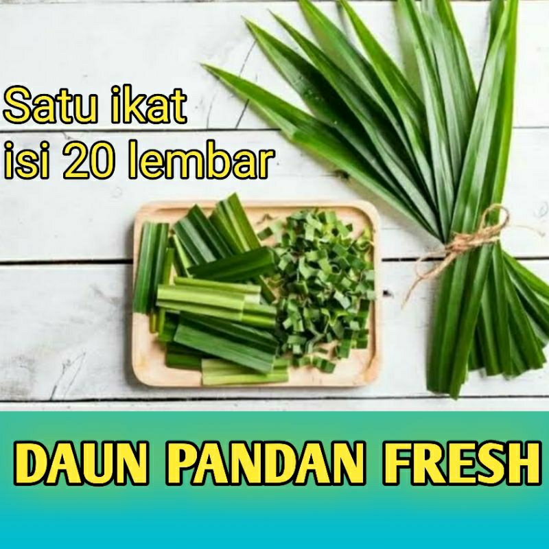 

DAUN PANDAN FRESH ALAMI LANGSUNG PETIK KEBUN