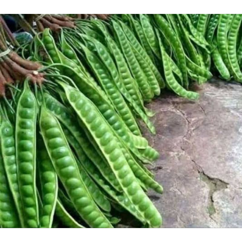 

13 papan pete super pilihan organik