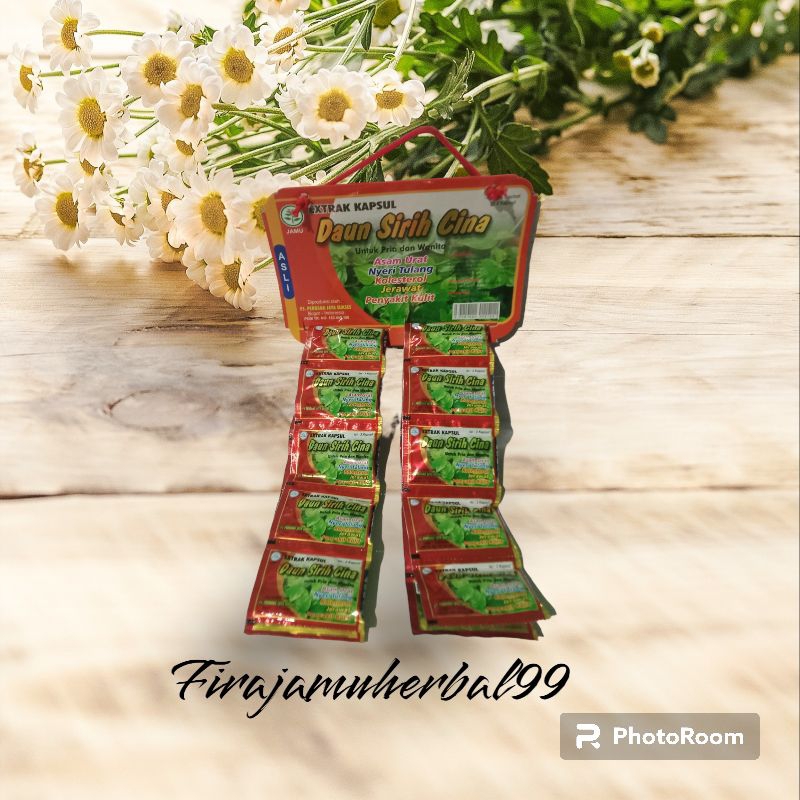 kapsul daun sirih cina