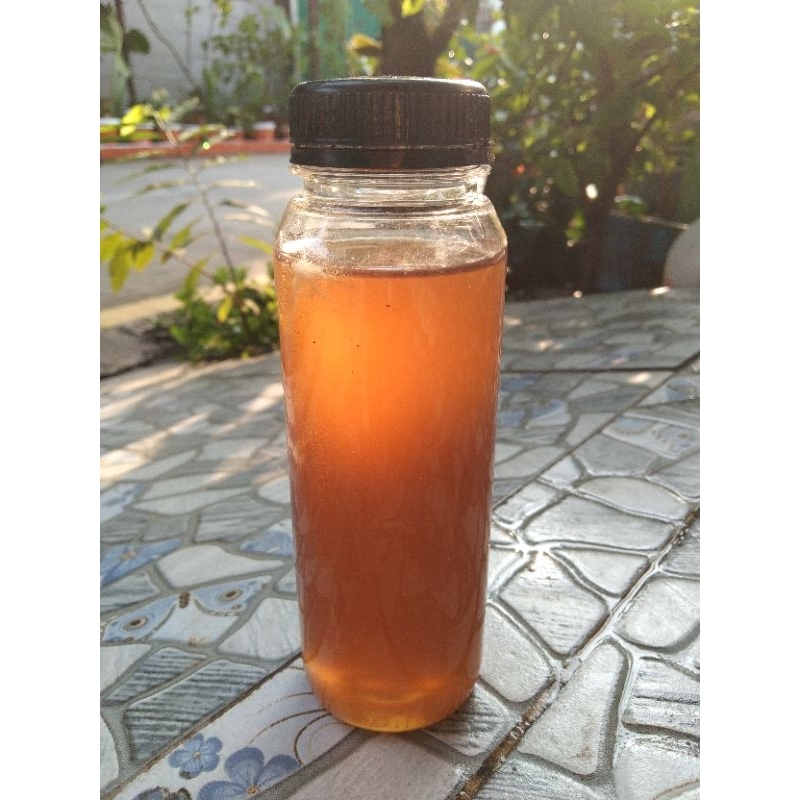 

madu hutan Sialang original 250 gram