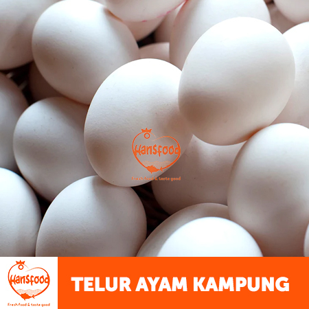 

Telur Ayam Kampung Asli