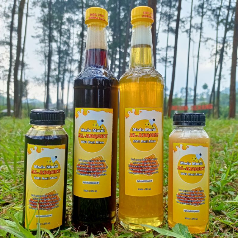

Madu Hitam Akasia
