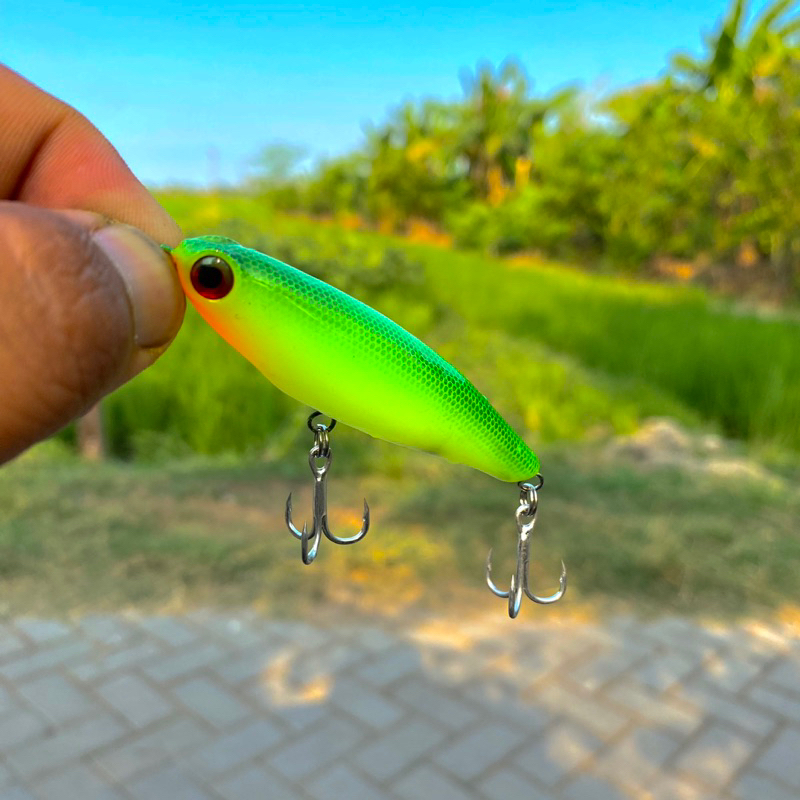 Lure Casting Minow WTD 6,5cm