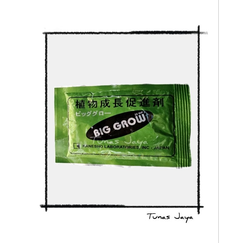 Big Grow 5 gr ZPT Pembesar Buah