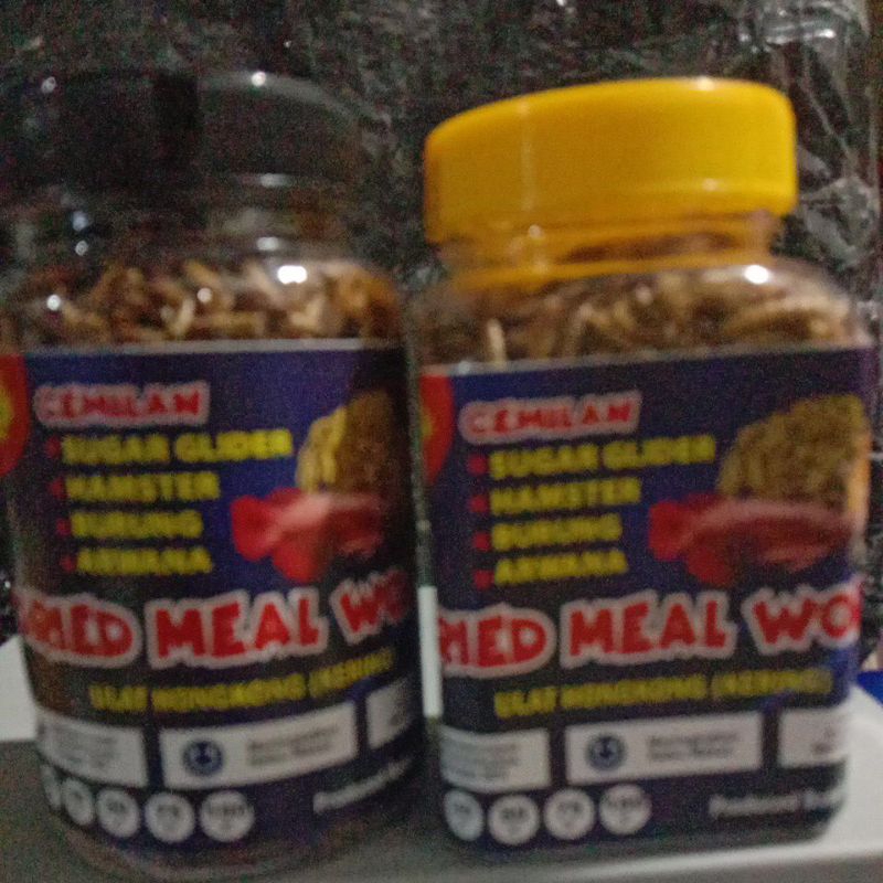 Dried MealWorm(ulat Hongkong kering)