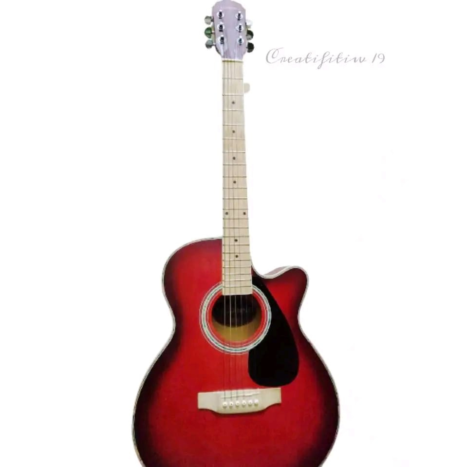 Gitar Akustik Prodine (Bekas)