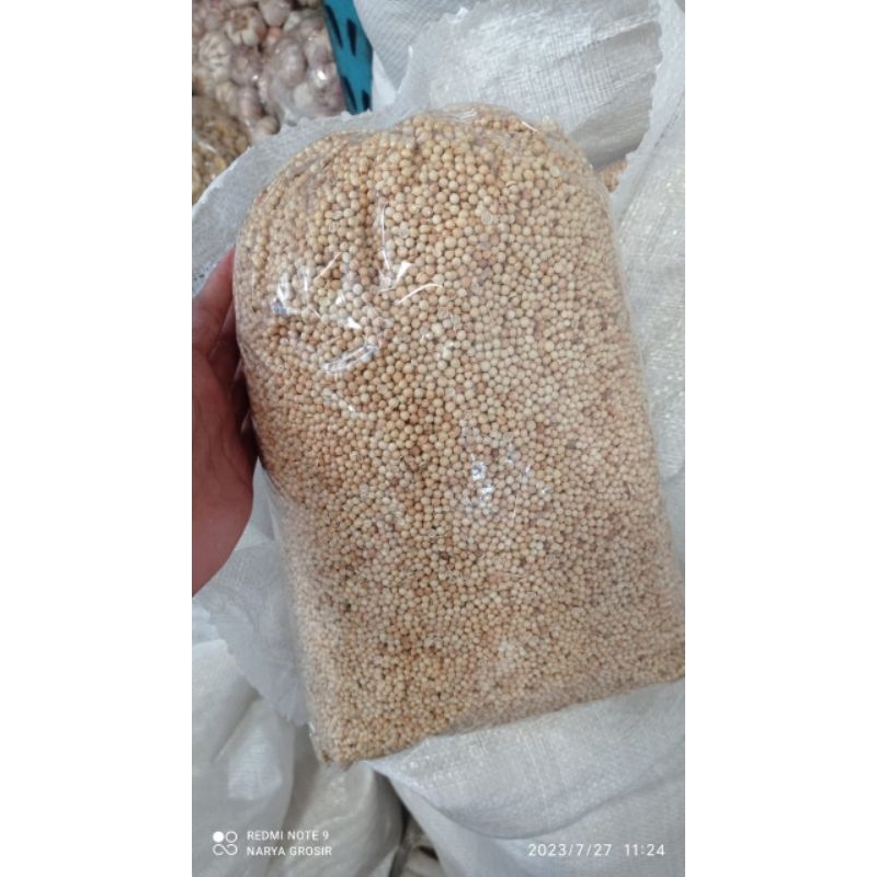 

Tumbar kuning 50 gram / Tumbar murah / Tumbar / Tumbar grosir