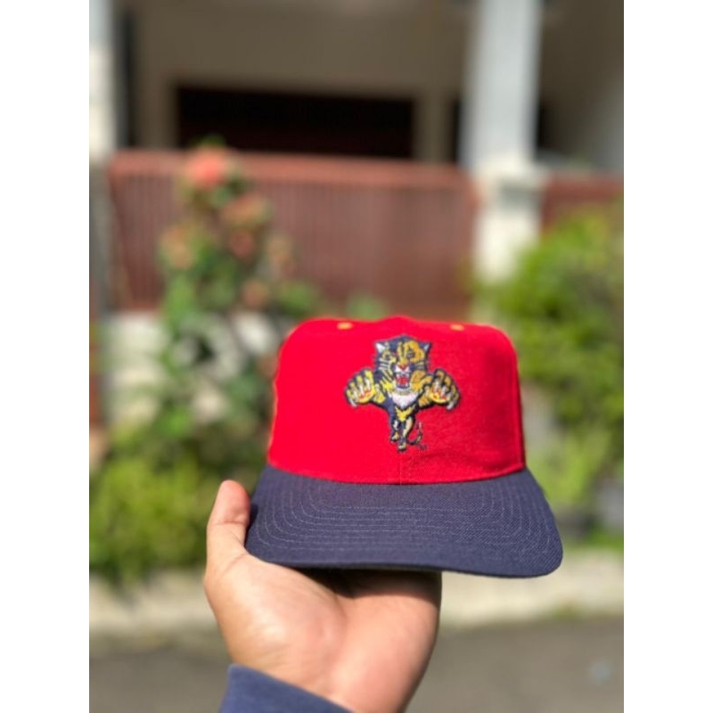 Snapback American Neddle Block Head Nhl