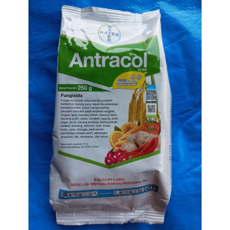 ANTRACOL 250 gram