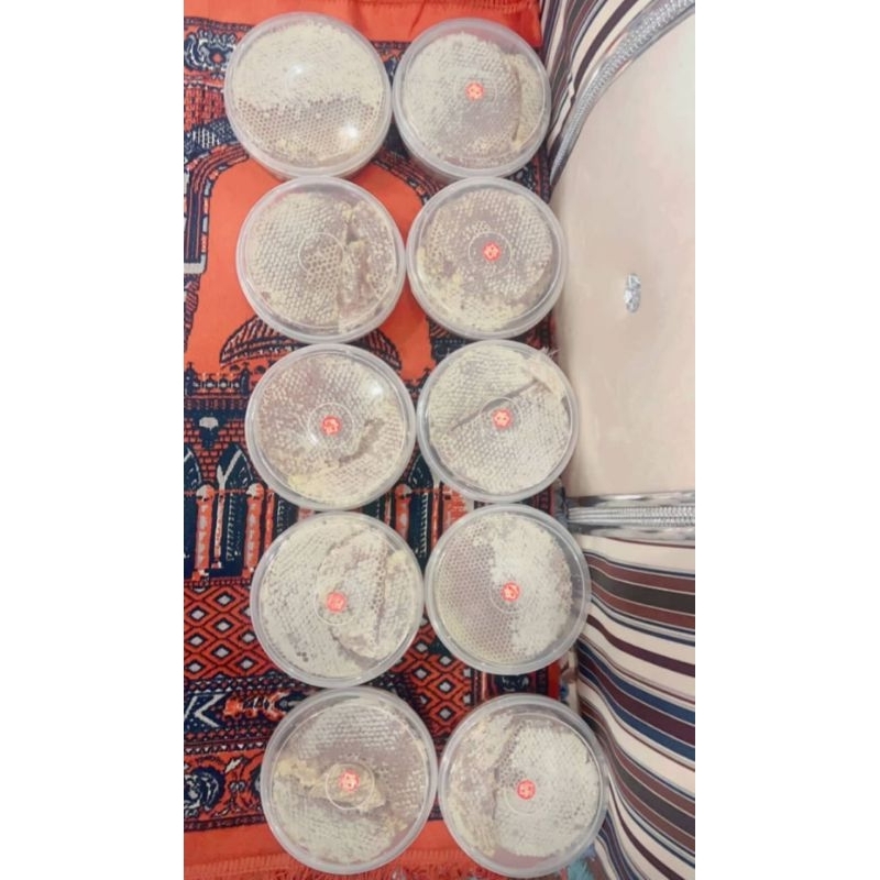 

Sarang Madu Tarim Hadramaut