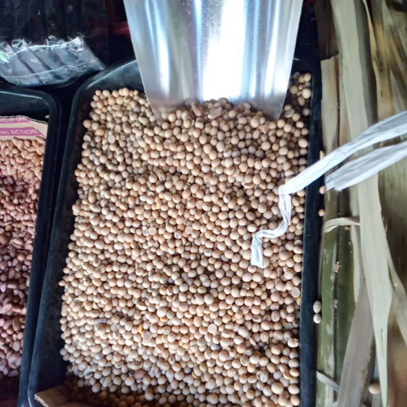 

kacang kedelai