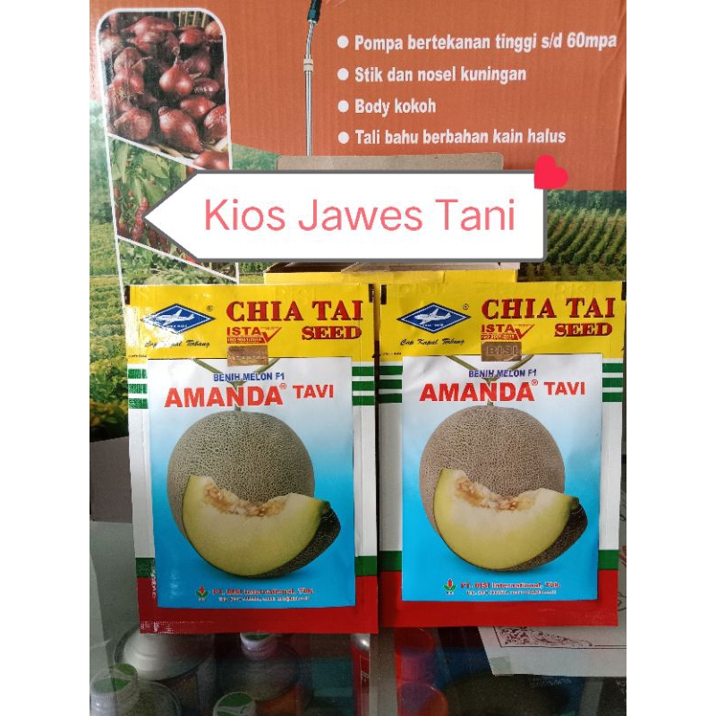 bibit melon amanda tavi
