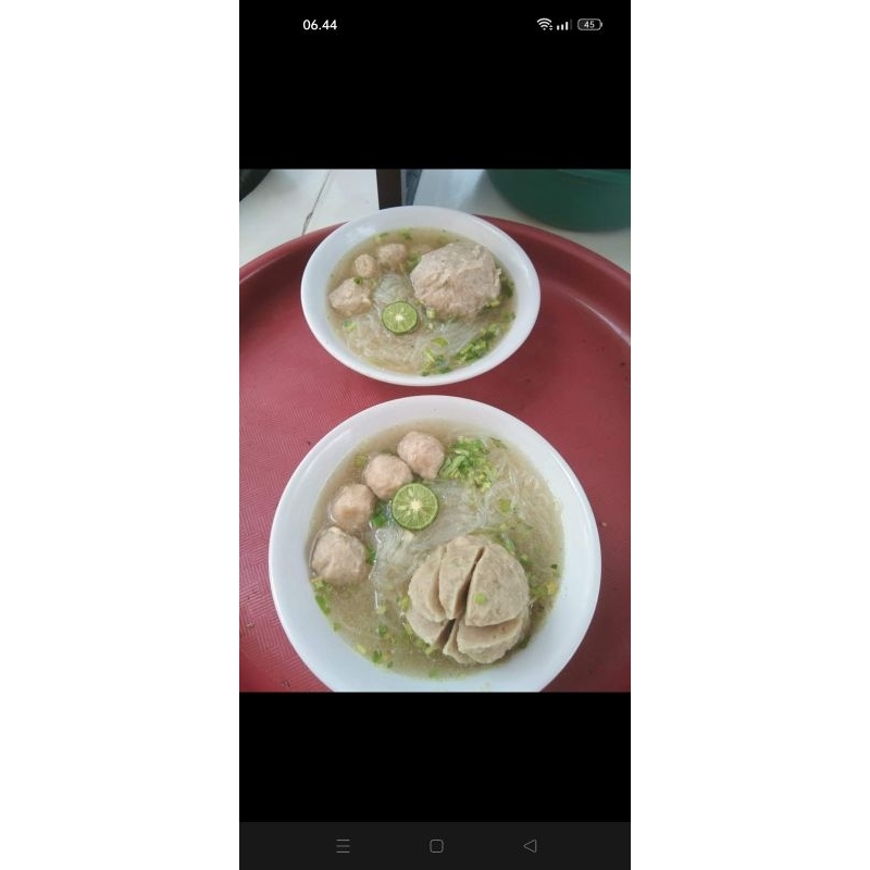 

bakso biasa