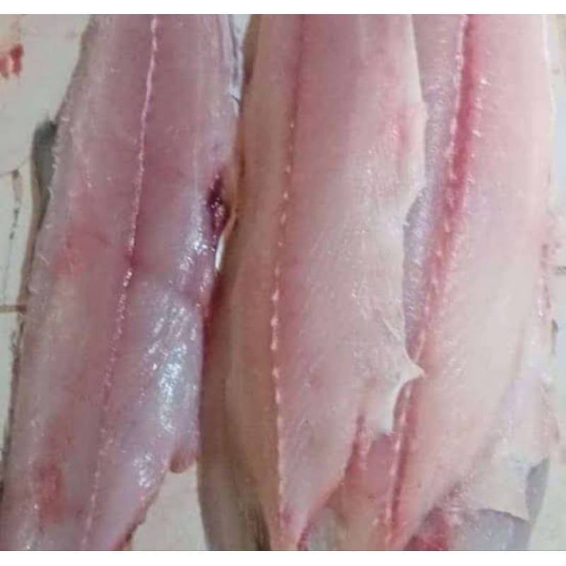 

ikan kakap putih fillet full daging 500gr