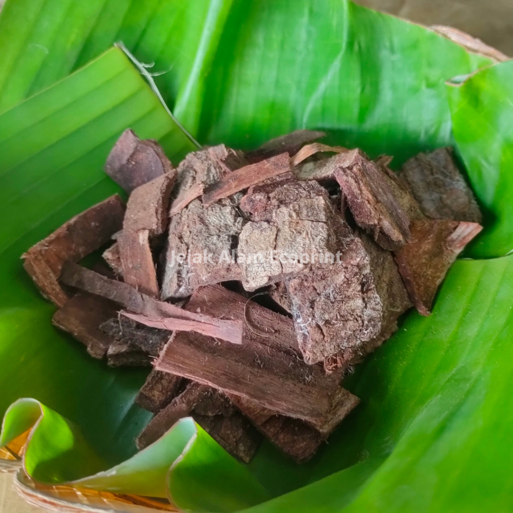 Zat Warna Alam | Pewarna Alami Batik Akasia Batik dan Ecoprint