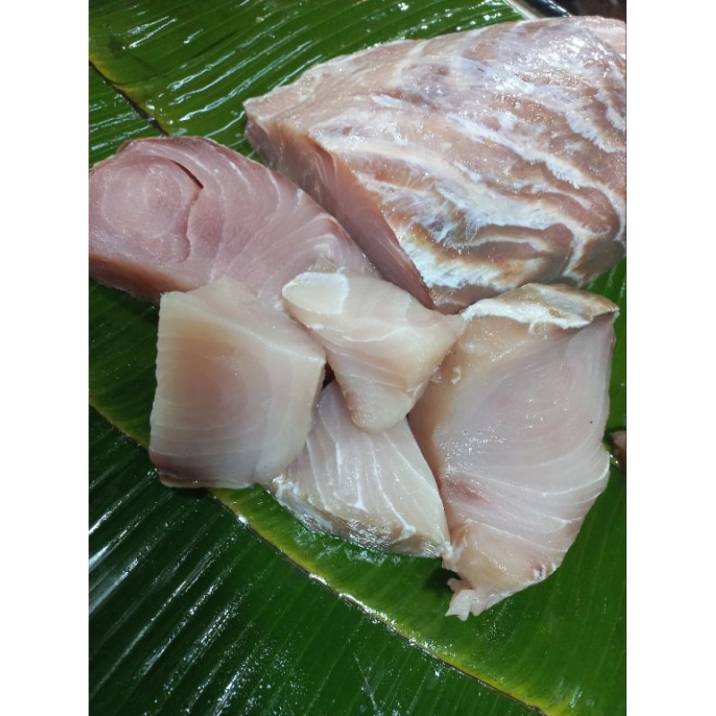 

Ikan Tuna