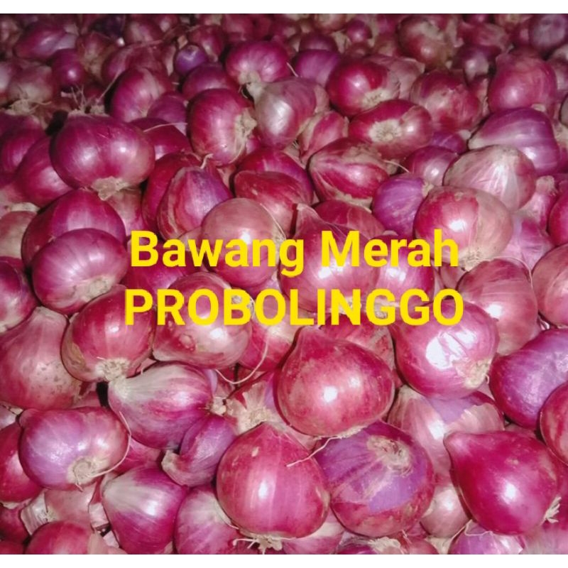 

Bawang Merah & Bawang putih MURAH