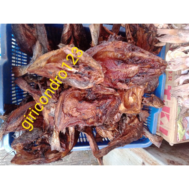 IKAN SALE ASAP//#1KG#BAUNG SUNGAI