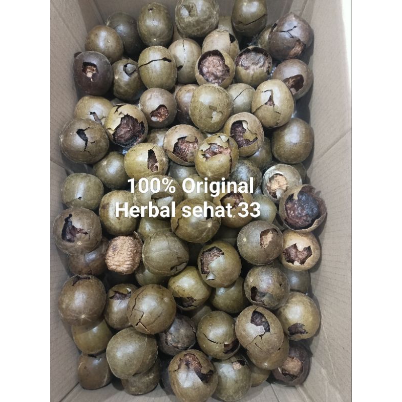 

buah Lo Han guo Mateng di pohon pecah manis luo Han Kuo