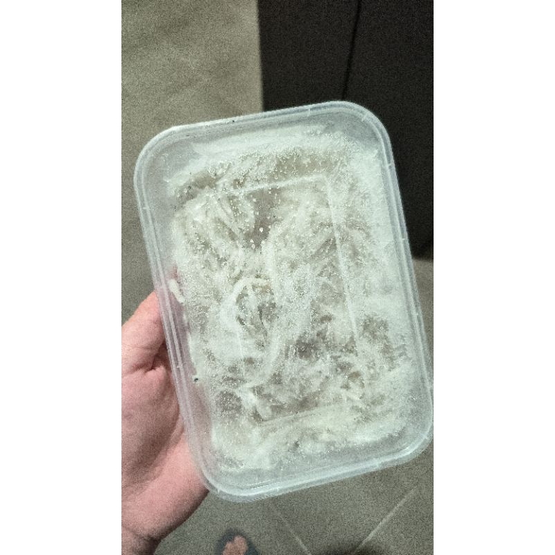 

Teri Nasi Basah