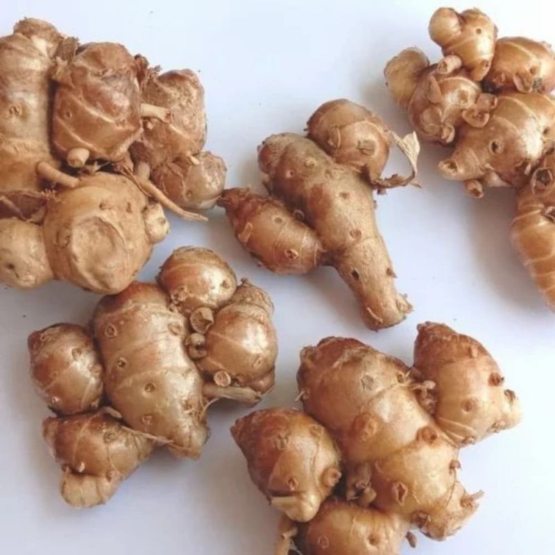 

KENCUR UTK BUMBU/HERBAL 100GR