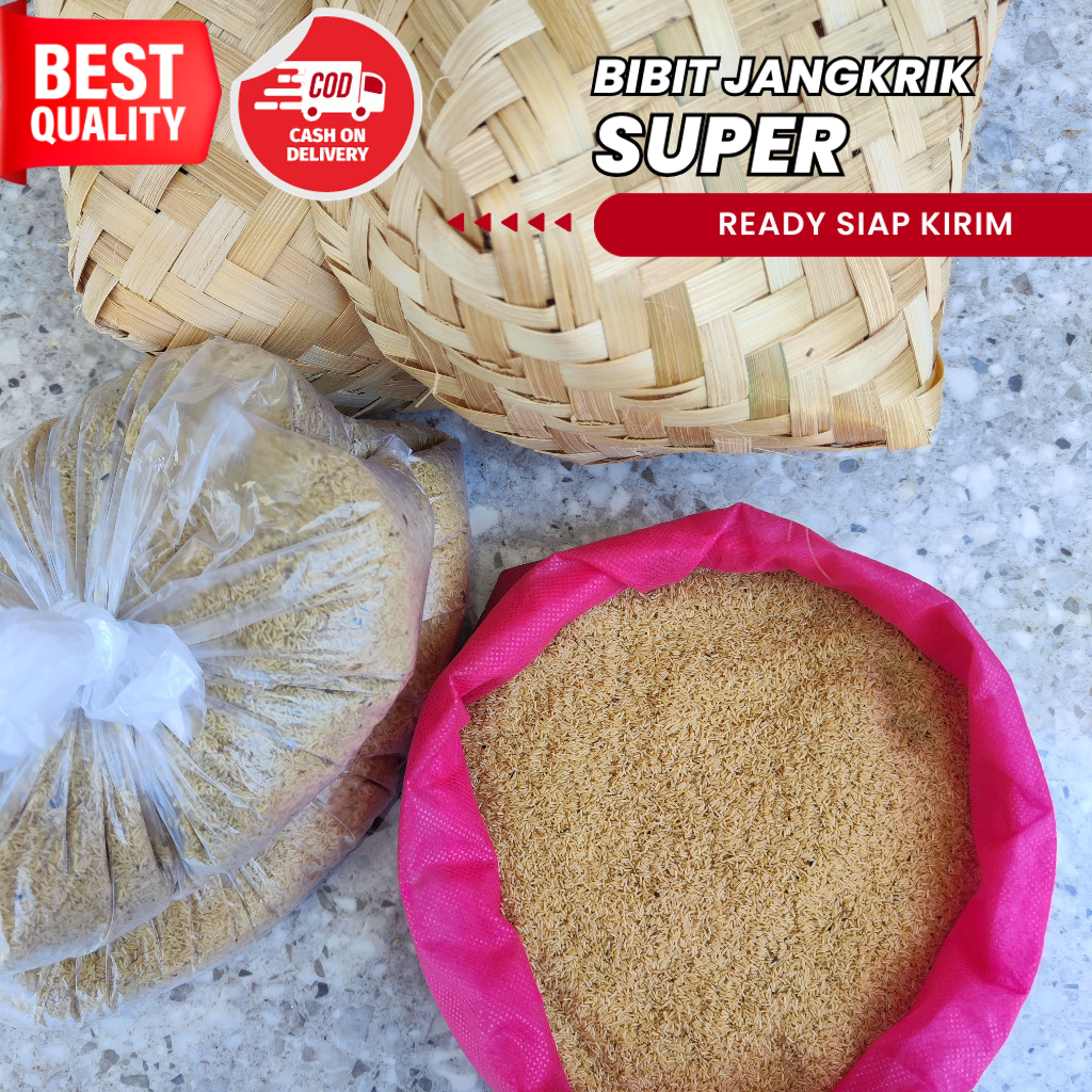 jual telur jangkrik karawang 500 gram siap kirim bibit telur jangkrik telur jangkrik jual telur jang