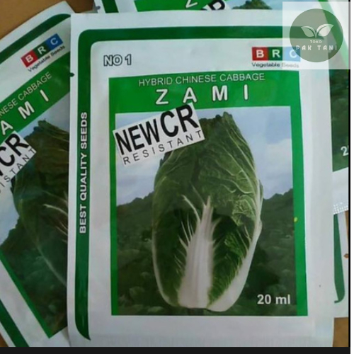 Benih sawi putih ZAMI tahan akar gada