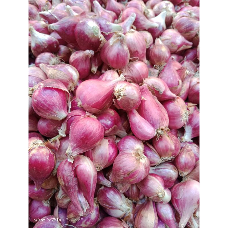 

Bawang merah murah