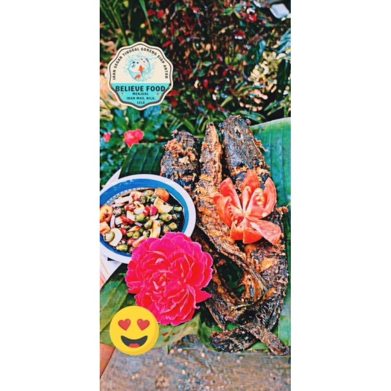 

FROZEN FOOD IKAN LELE