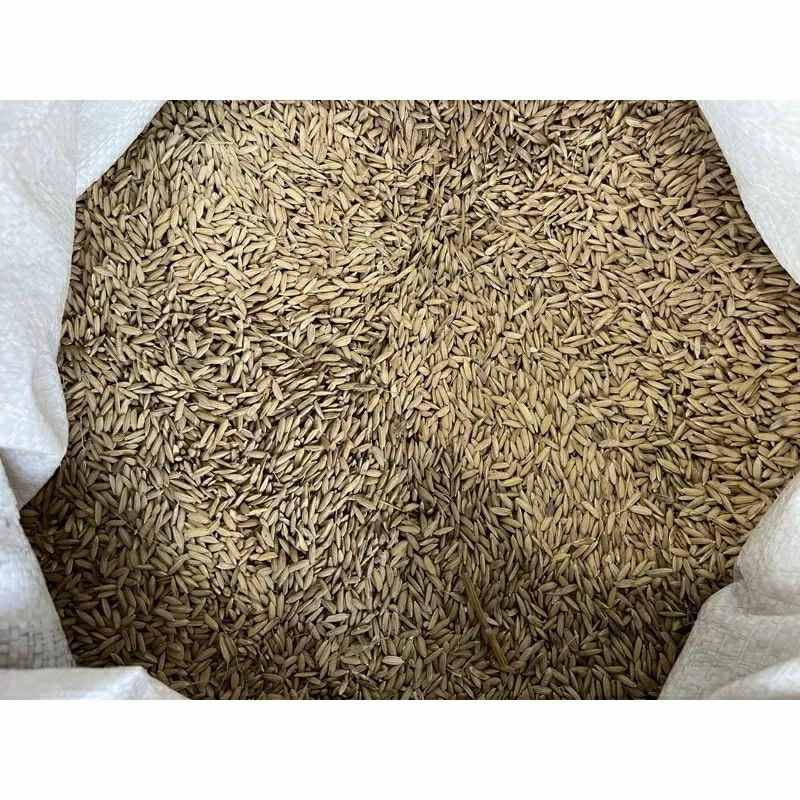 

gabah beras merah 500gram