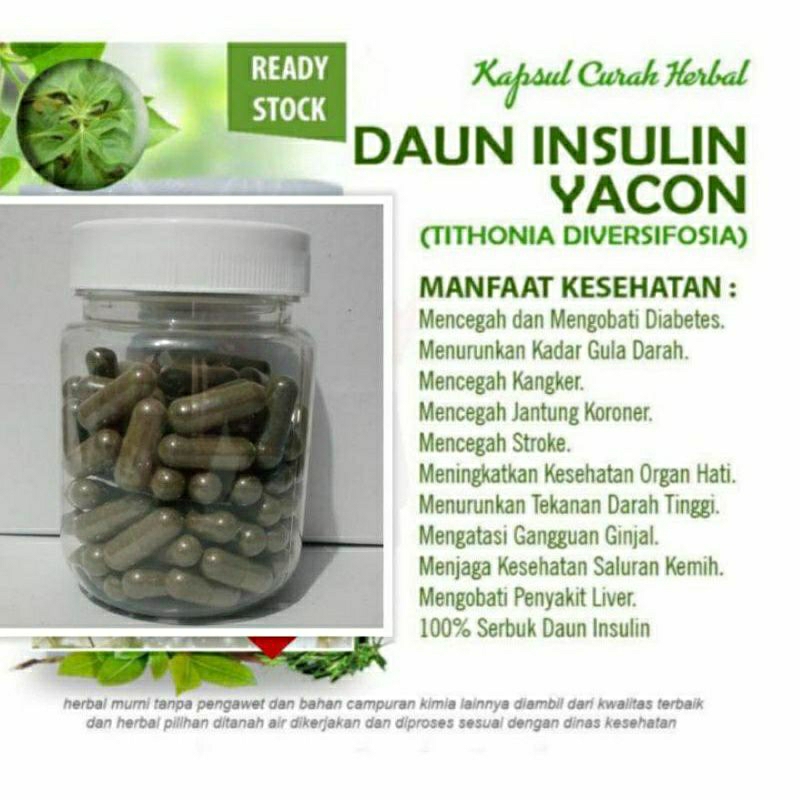 

DAUN INSULIN 100 KAPSUL OBAT HERBAL TERBAIK (PREMIUM QUALITY)