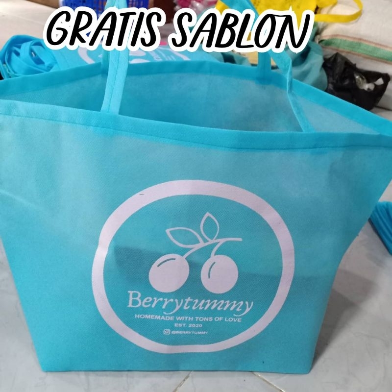 Tas box nasi 18x18x24