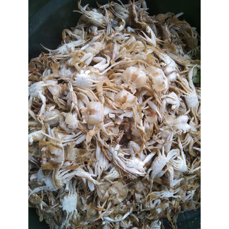 

baby crab frozen uk 1 kg