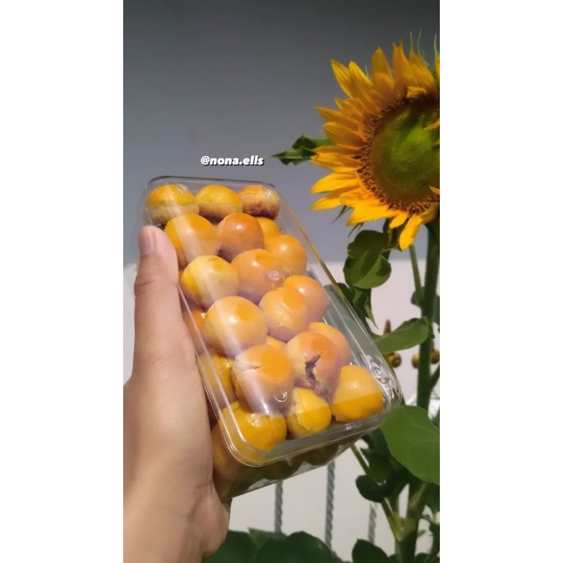 

Nastar Premium home made