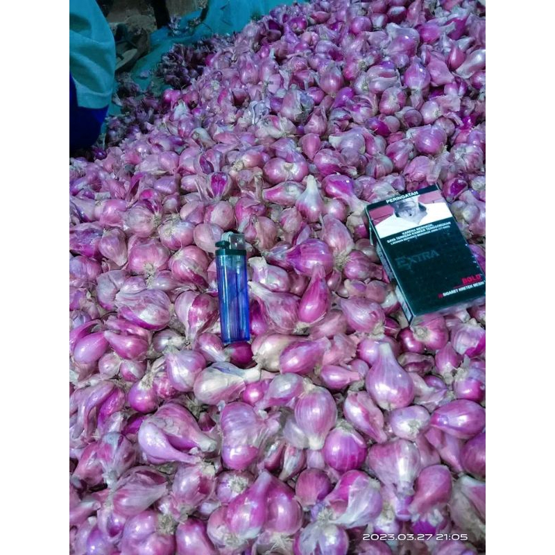 

Bawang Merah Super