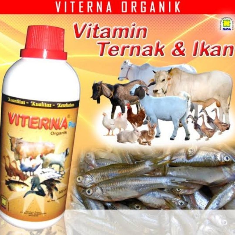 Viterna suplemen ternak
